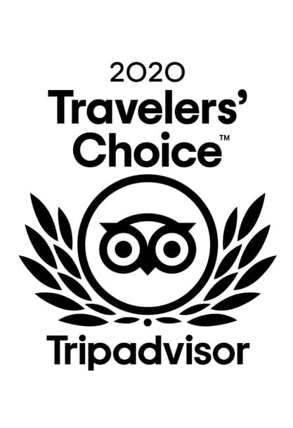 2020 Travelers Choice branding